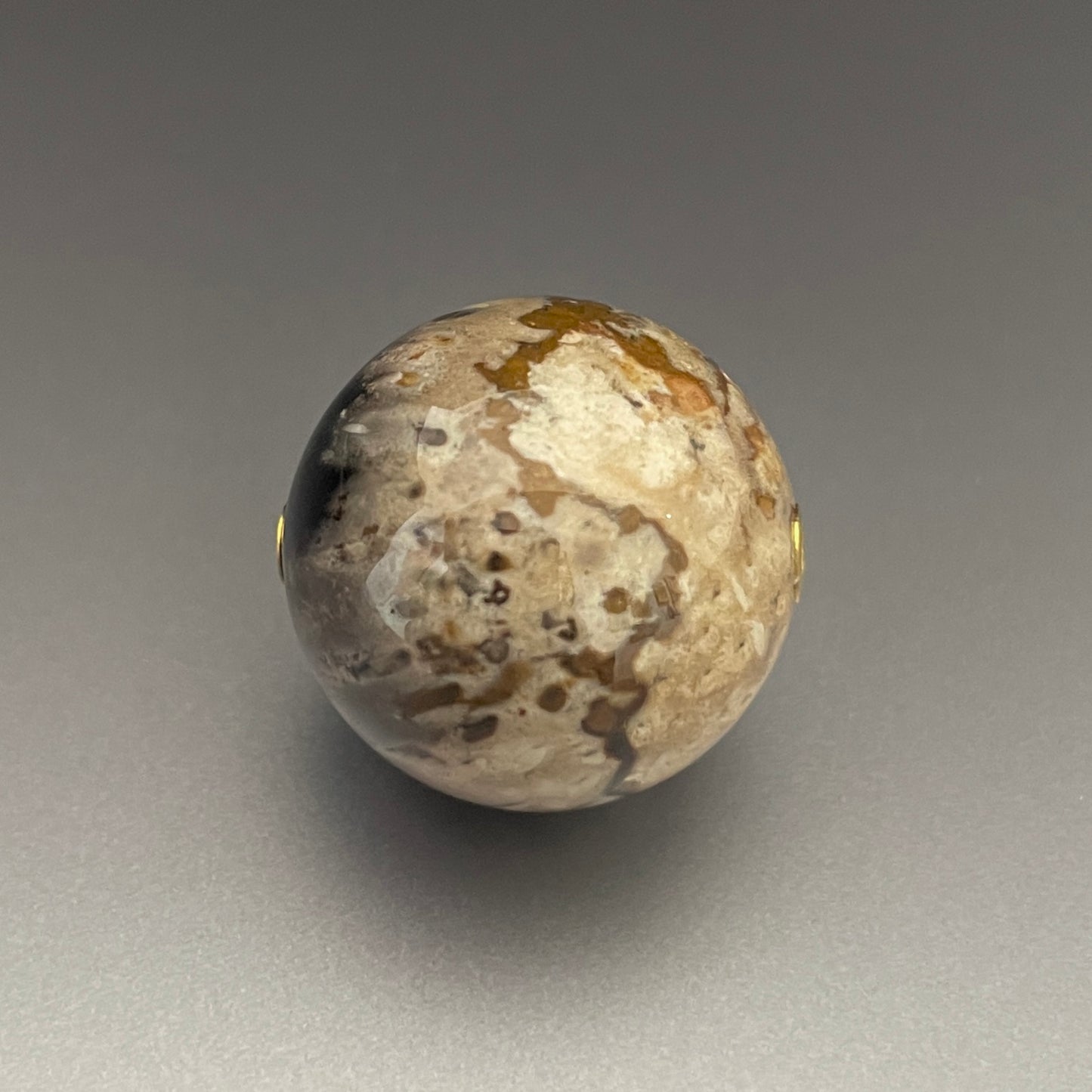 Petrified Wood Sphere Vario Clasp, 20mm