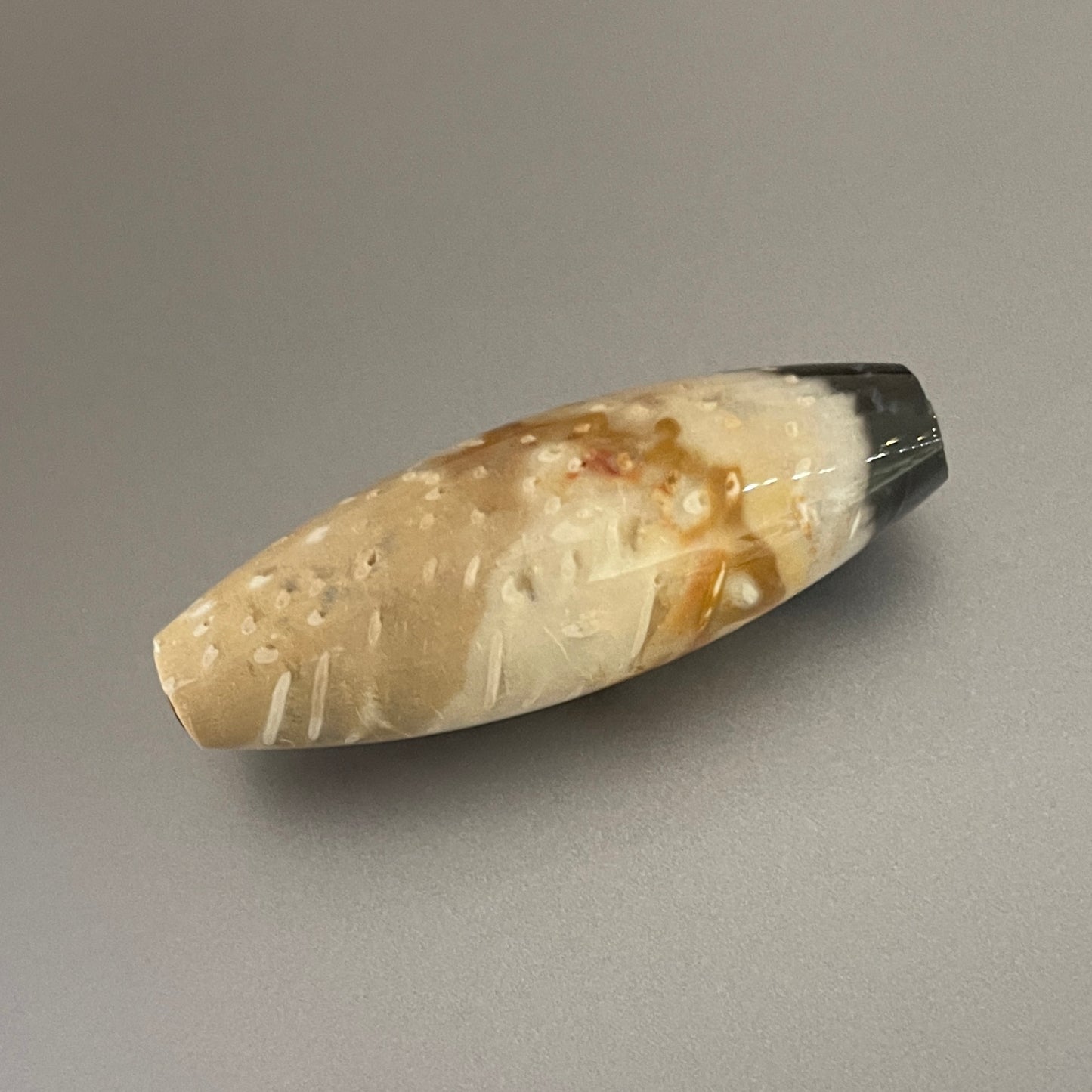 Petrified Wood Clasp for Vario System