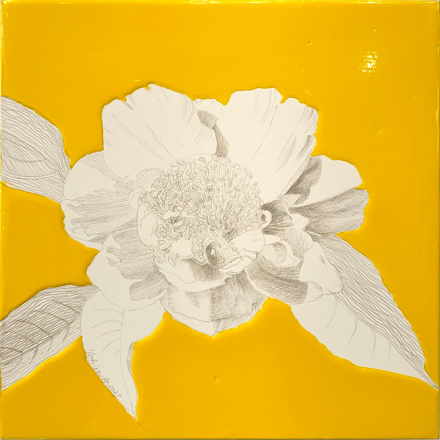 Camelia