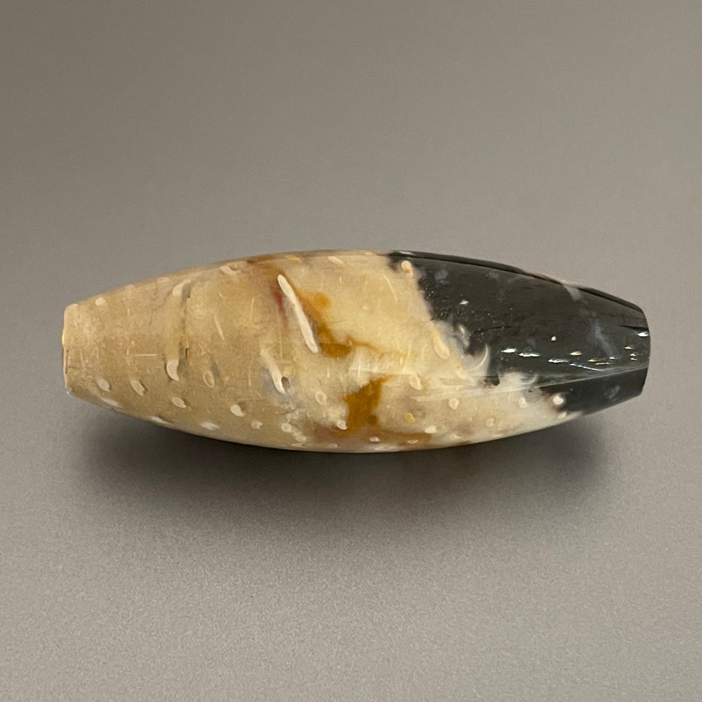 Petrified Wood Clasp for Vario System