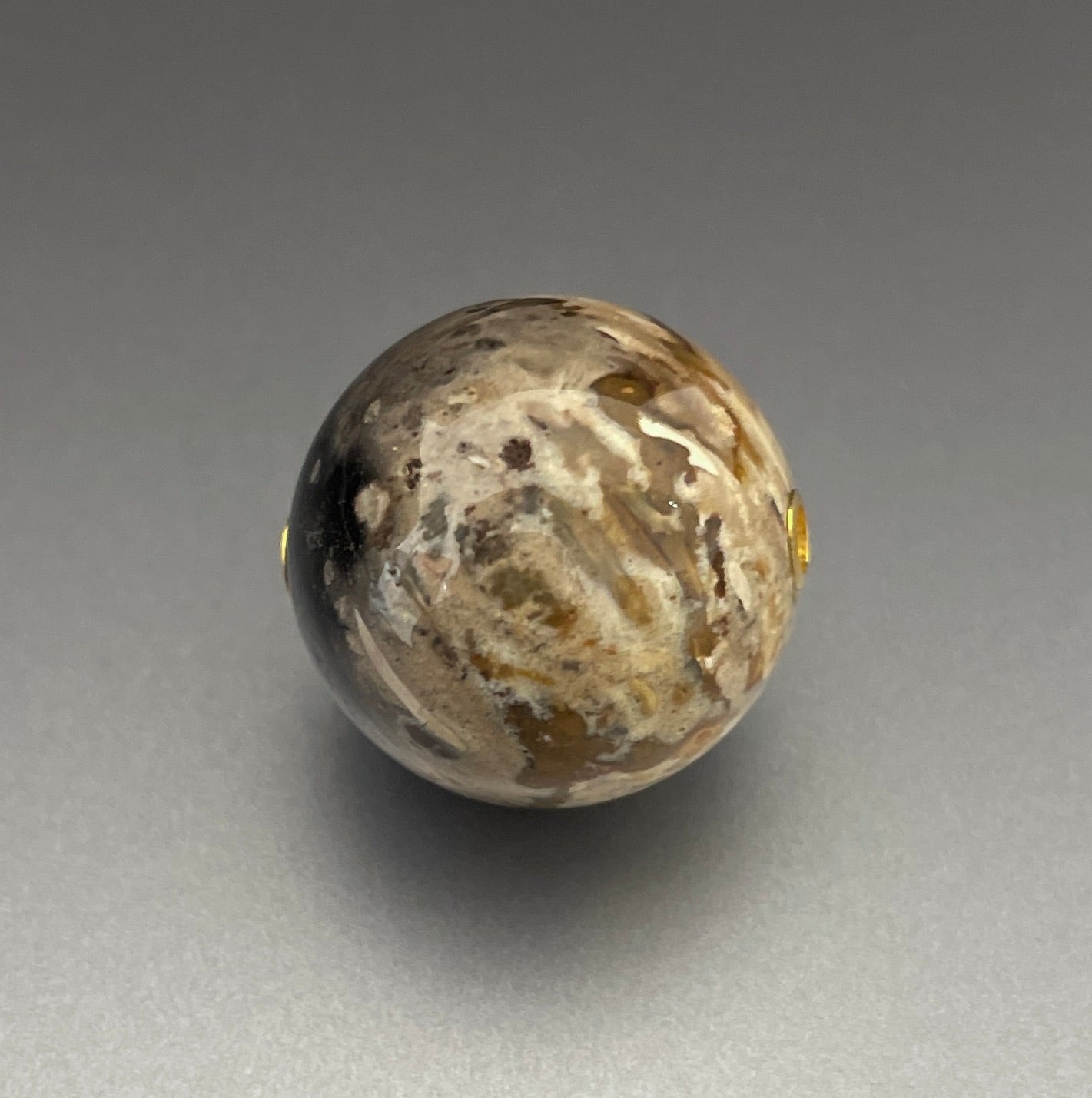 Petrified Wood Sphere Vario Clasp, 20mm